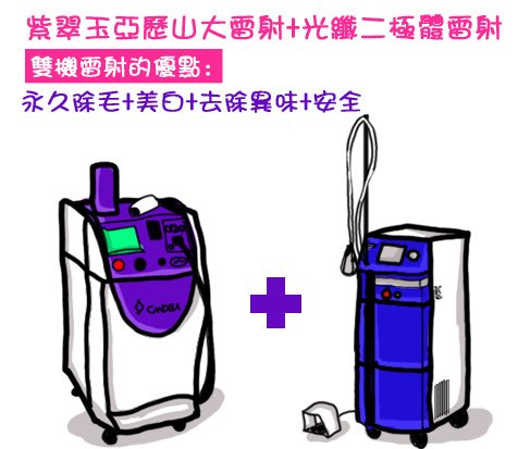 光纖二極體雷射 紫翠玉亞歷山大雷射 除毛 推薦 美麗晶華 除毛 費用 除毛 台北 雷射除毛05.jpg