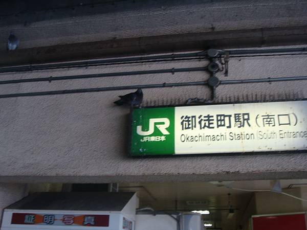 DSC00055.JPG