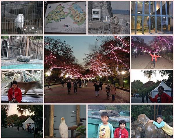 上野動物園-1.jpg