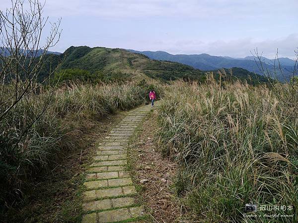 1040228 桃源谷步道055-wm.JPG