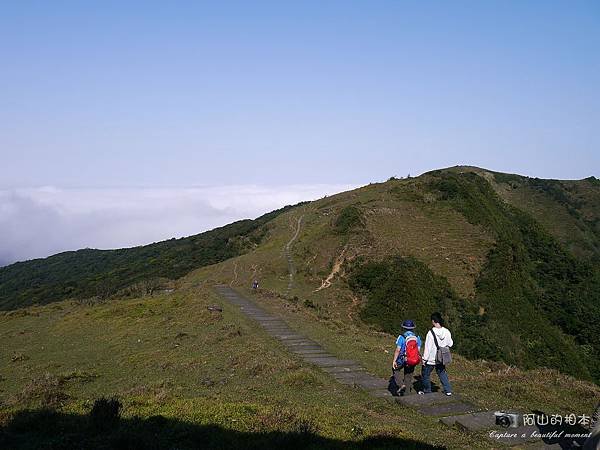 1040228 桃源谷步道134-wm.JPG