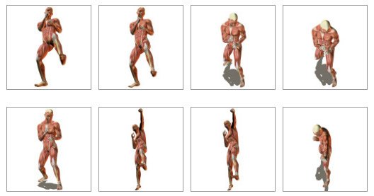 pose1.jpg