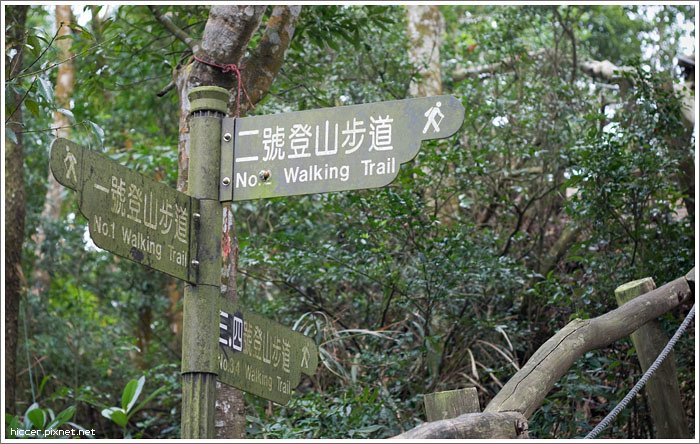大坑步道