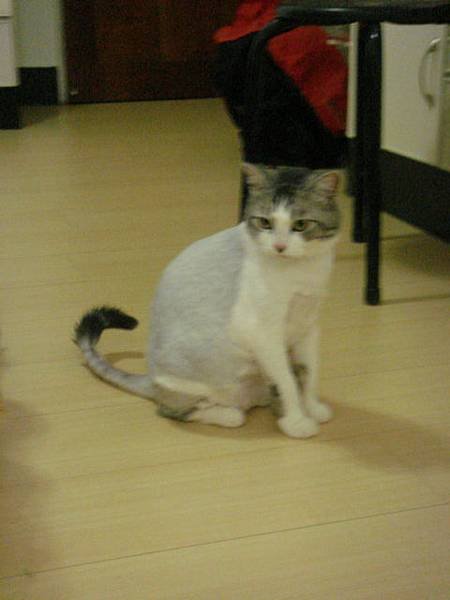 DSC06270.JPG