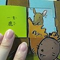 IMG_1191