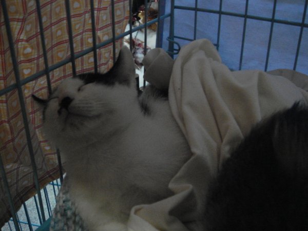 DSC05332.JPG