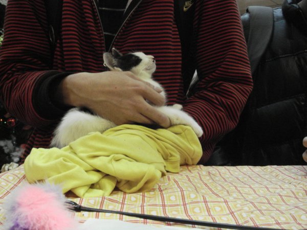DSC05334.JPG