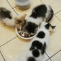 DSC04899.JPG
