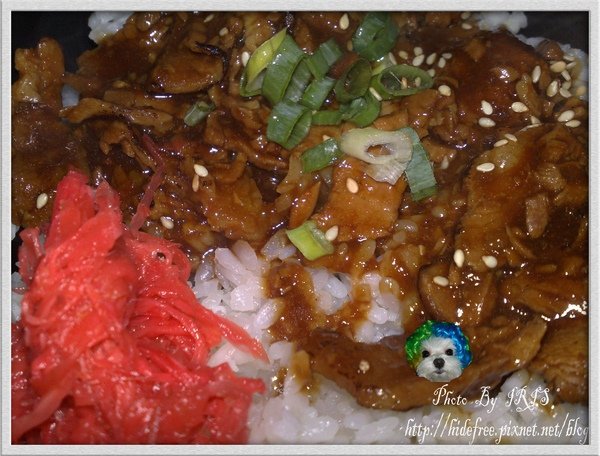 日式烤肉飯近拍.jpg