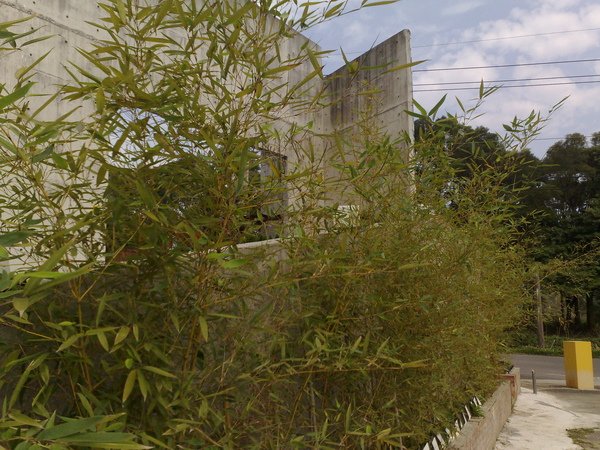 201002095959.jpg