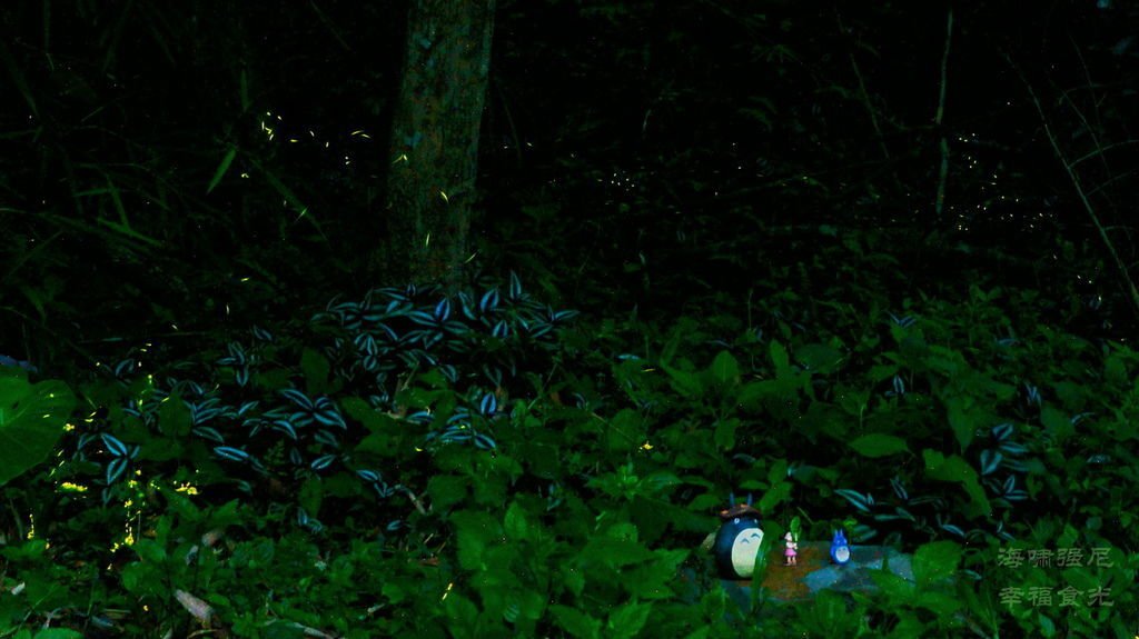 DSC09763.JPG