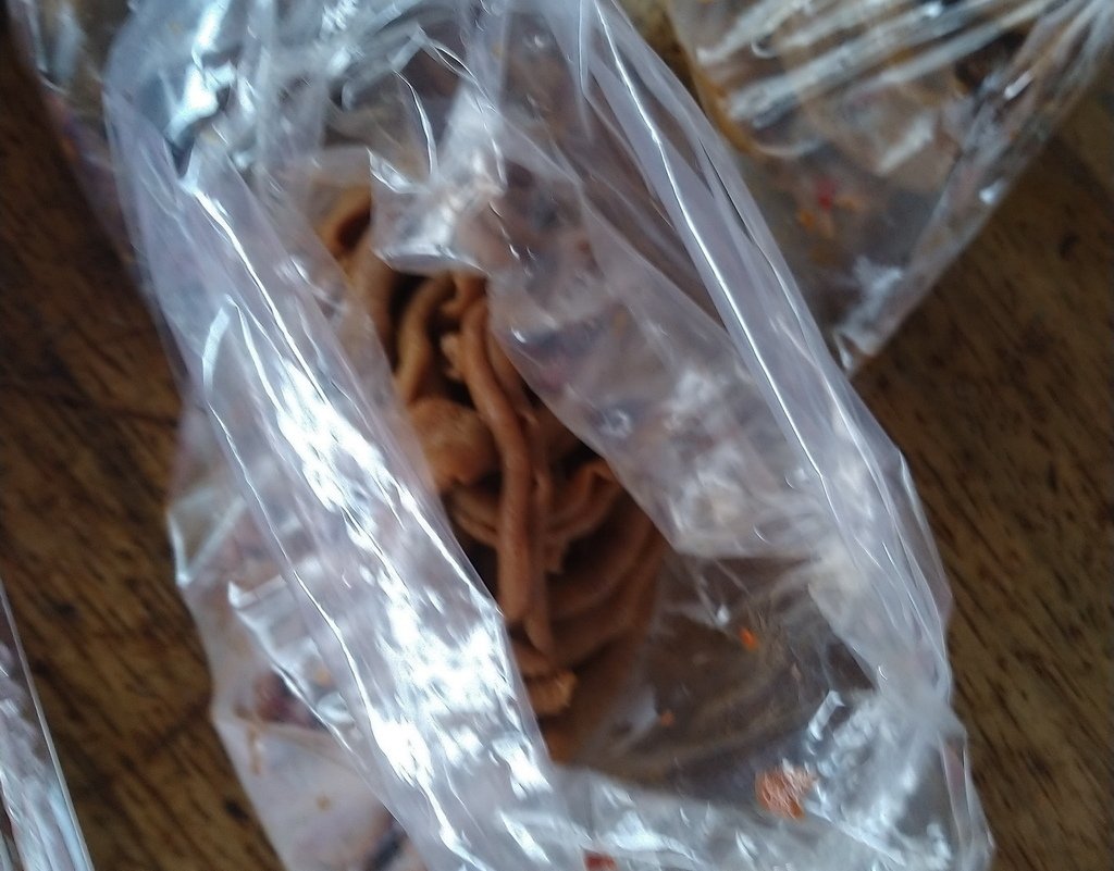 |宜蘭|【大同鄉。茶之鄉專業茶園】茶蛋相當好吃~ (品嚐至2