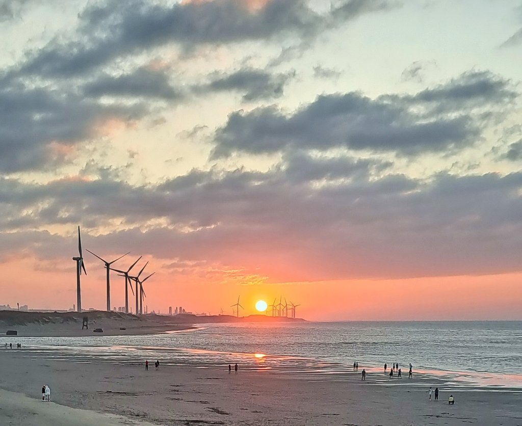 |桃園|【大園區❤許厝港濕地】許厝港觀景台。夕陽很美 ㊙桃園