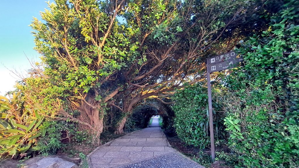 |台北|【金山區❤獅頭山登山步道。中正亭。燭臺雙嶼】㊙台北旅