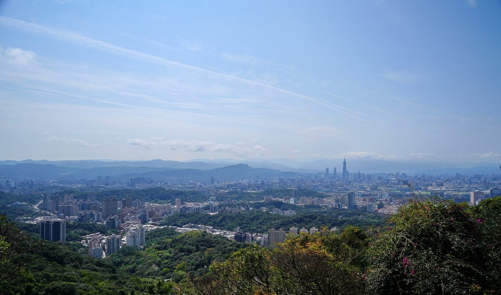 |台北|【內湖區❤內湖 碧山巖 清風亭】椿寒櫻花/香水櫻花 