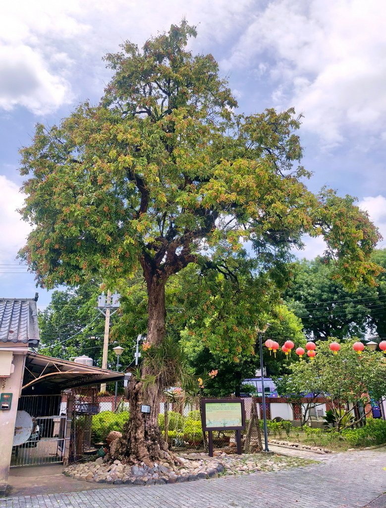 |台中|【石岡區❤土牛客家文化館】㊙台中旅遊景點秘境