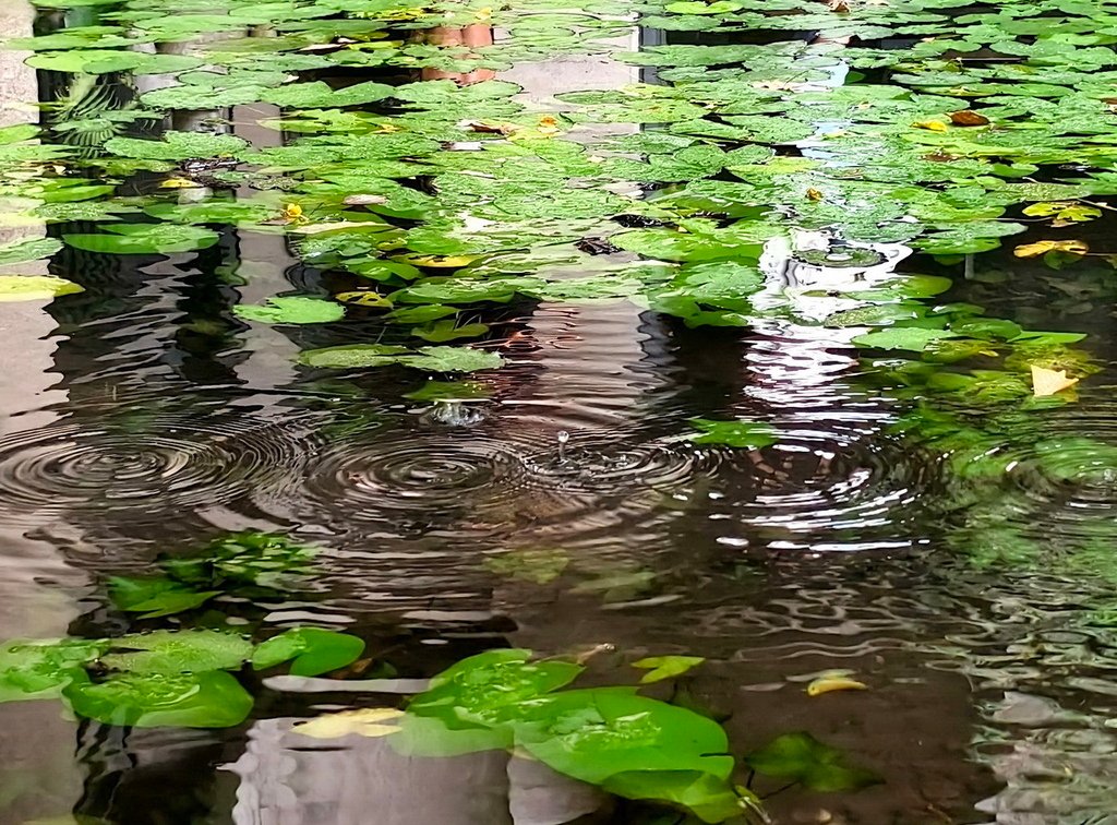 |台中|【大里區。菩薩寺】㊙台中旅遊景點秘境