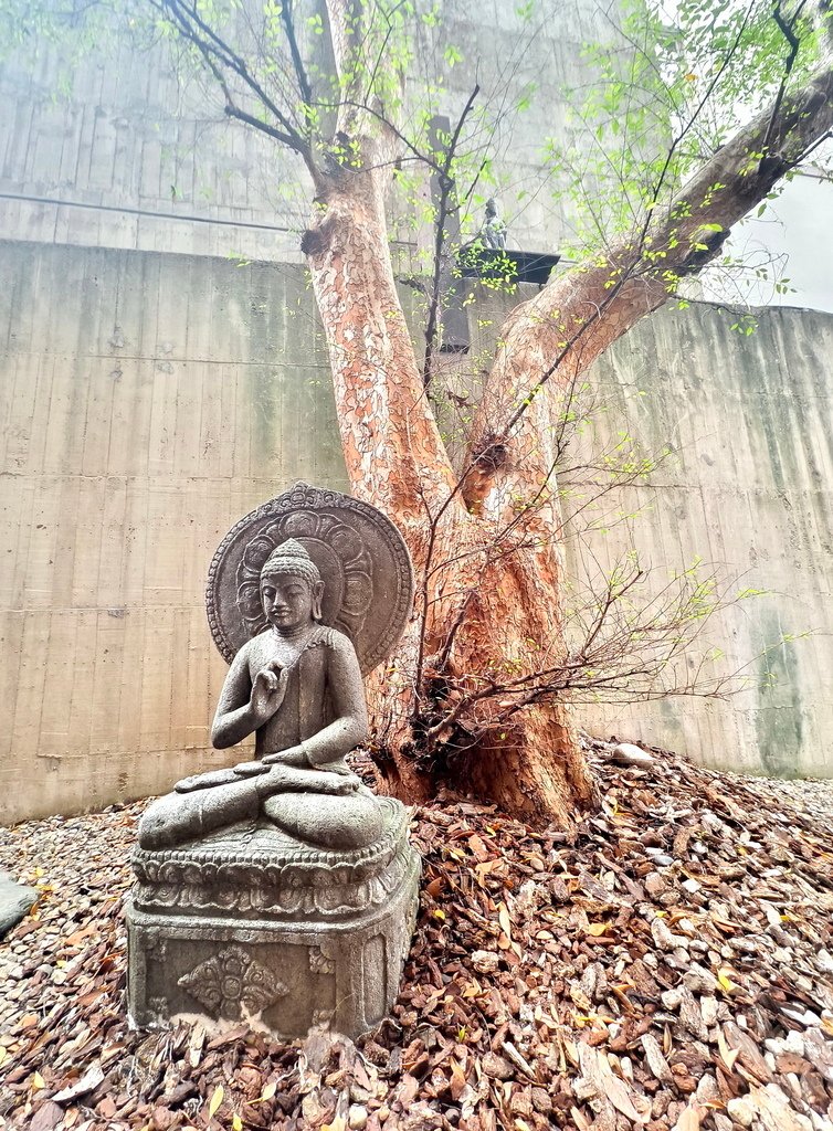 |台中|【大里區。菩薩寺】㊙台中旅遊景點秘境