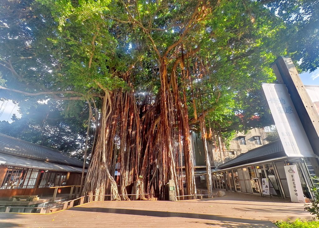 |台中|【西區。臺中文學館。台中文學公園】㊙台中旅遊景點秘境