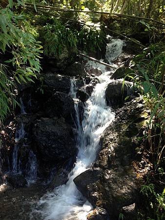 IMG_4898.JPG