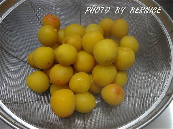 DSC00840.JPG