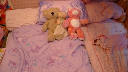 20100727-6.jpg