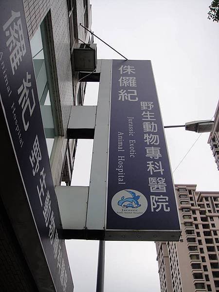 照片 251