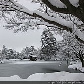 IMG_1631.JPG
