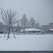 IMG_1675.JPG