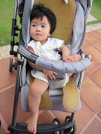 IMG_3727.JPG