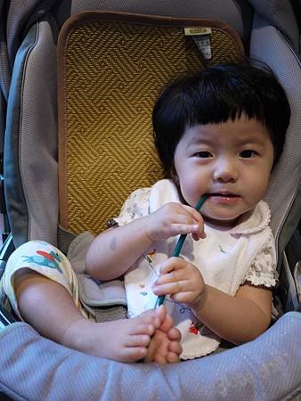P1050850.JPG