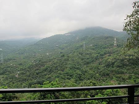 IMG_3769.JPG