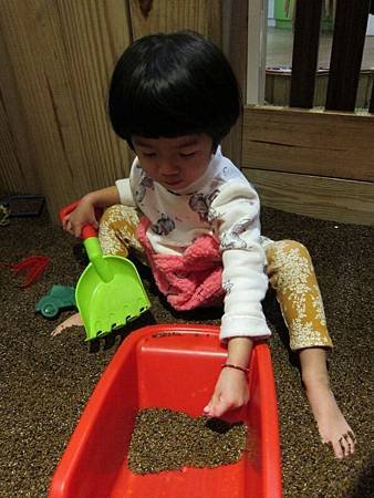 IMG_7910.JPG