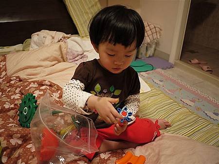 P1000348.JPG