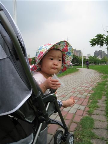 IMG_2985.JPG