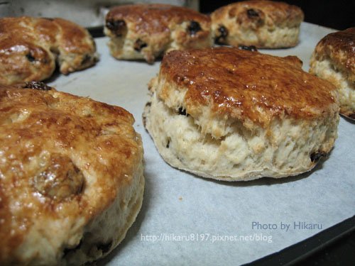 Scone (司康餅)