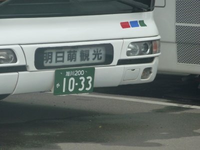 19.JPG