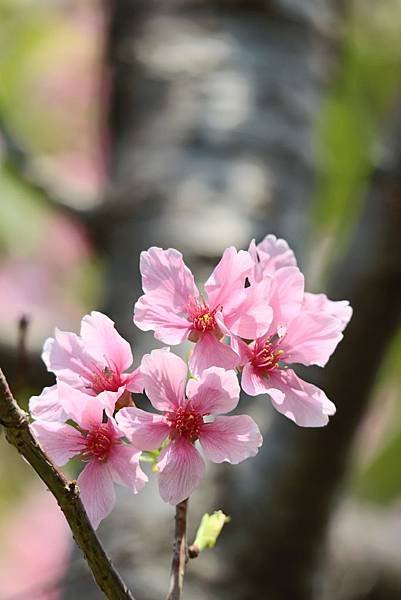 IMG_6316.JPG