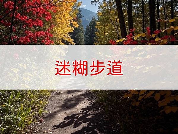 迷糊步道.jpg