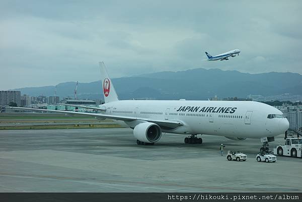 20190611  初入ANA陣地經典不斷的大阪伊丹空港
