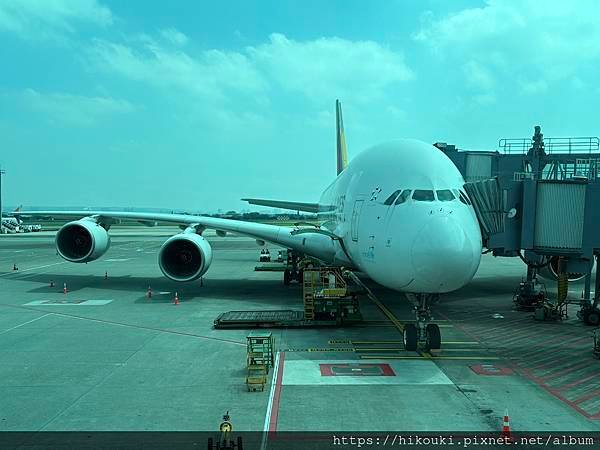 20250319  OZ712  TPE-ICN