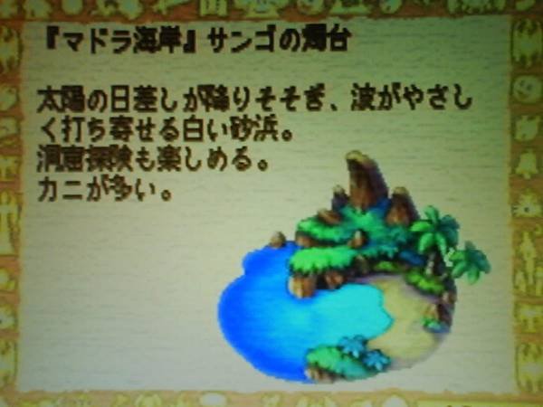 瑪多拉海岸