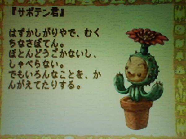 仙人掌