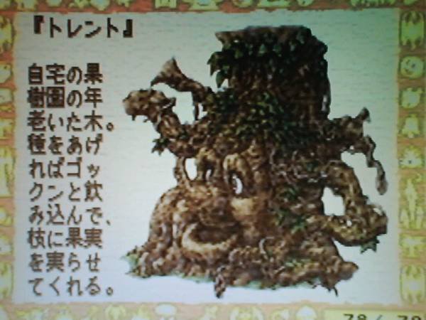 多連多