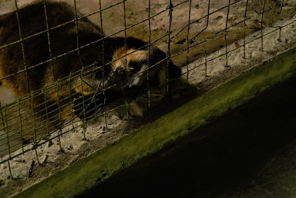 DSC02855-1.jpg