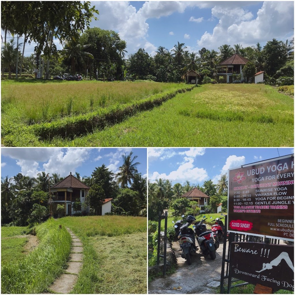 Ubud Yoga House.jpg