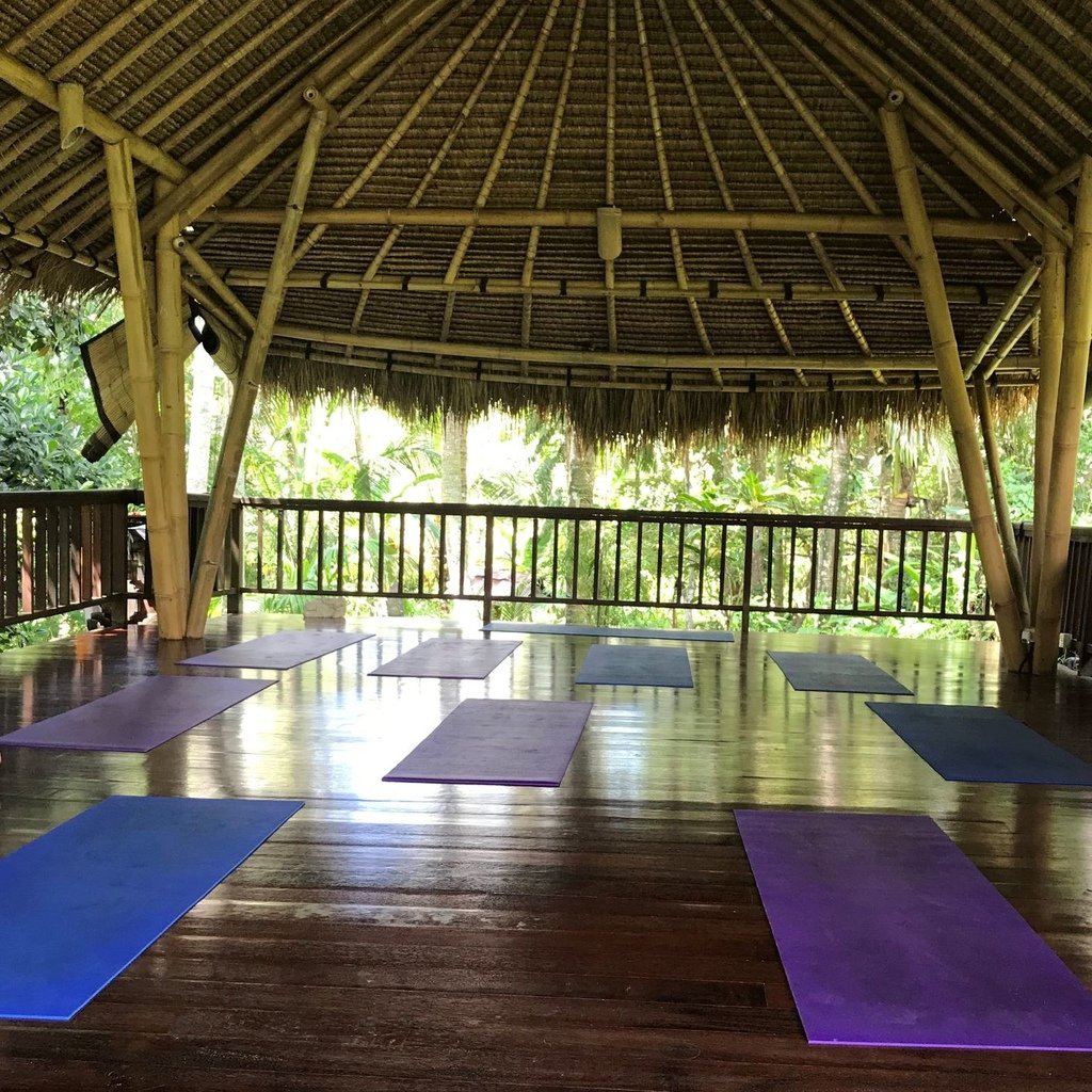 Ubud Yoga House3.jpg