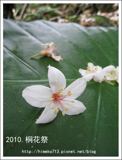 IMG_6039拷貝.jpg