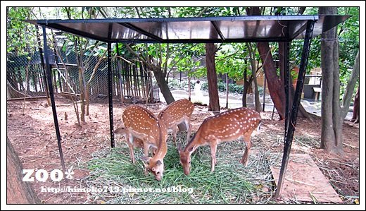 IMG_6380拷貝.JPG
