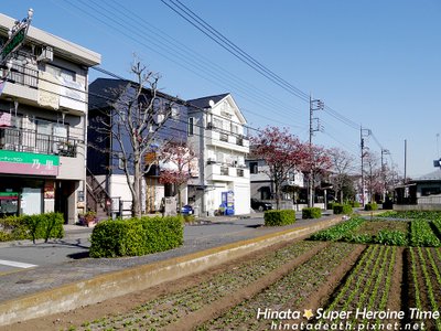 P1110248.jpg